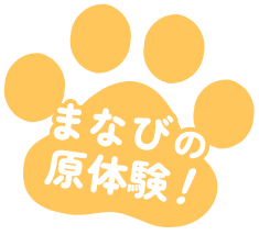 学びの原体験！